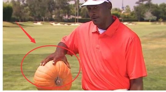 在线观看国产精品入口
