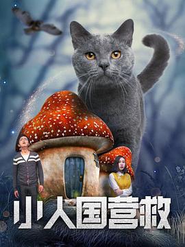 无遮挡又黄又刺激的视频