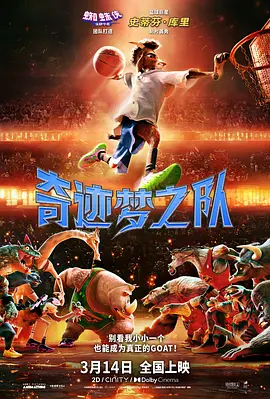 精品视频一区二区