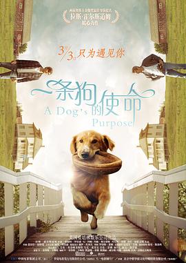 国产亚洲精品国产福利在线观看