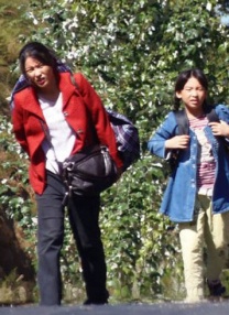 小四郎收藏家最新版本